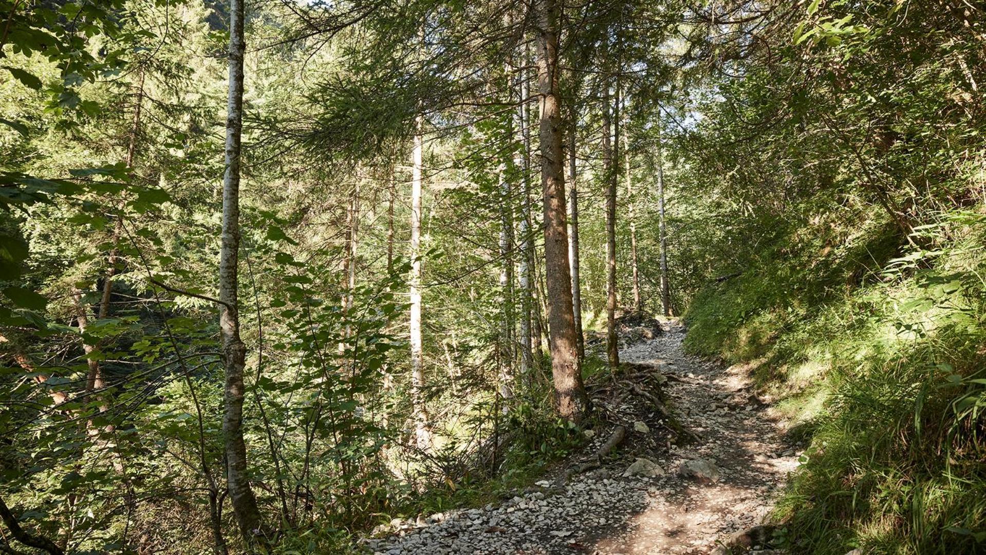 Отель Der Brandstetterhof - Adults Only Штанс Экстерьер фото